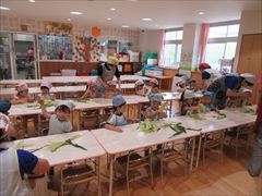 食育（トウモロコシ）